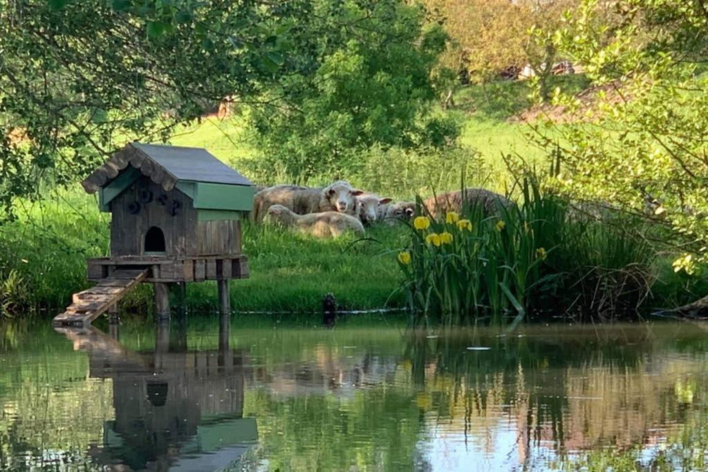 Gite Moulin De Lausseignan Barbaste Buitenkant foto